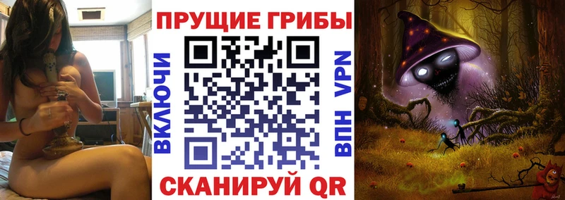 дарнет шоп  Абинск  Галлюциногенные грибы Psilocybine cubensis 